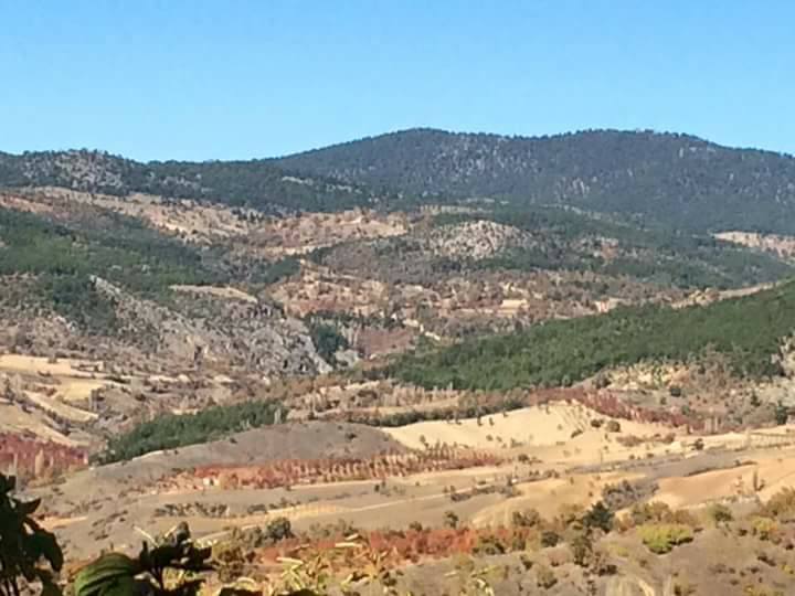 Turgay Asmalıkaya 4 mart 2017 4